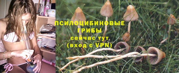 прущие крисы Дмитриев