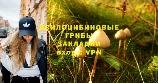 mdma Дмитров
