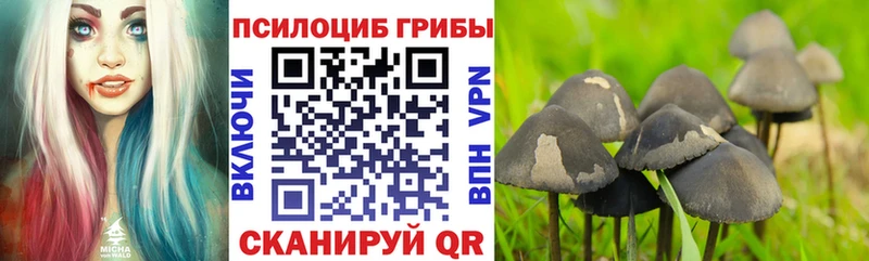 Галлюциногенные грибы GOLDEN TEACHER  сколько стоит  Новоржев 